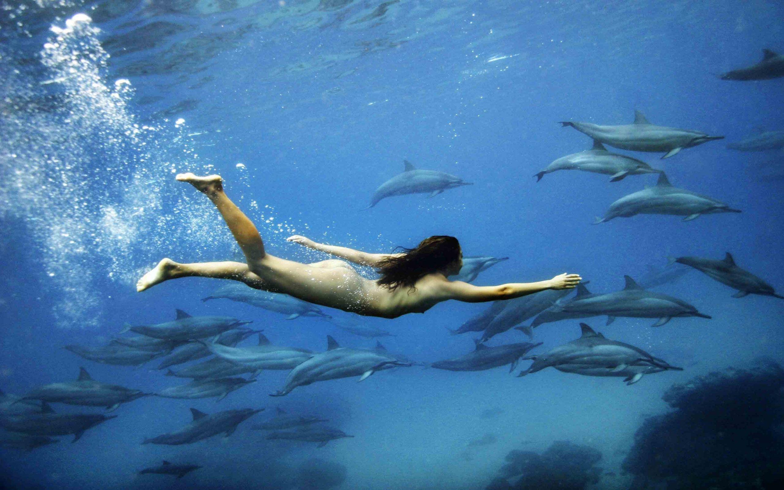 2560x1600 Download 2560x1600 Water swimming nude dolphins wallpaper