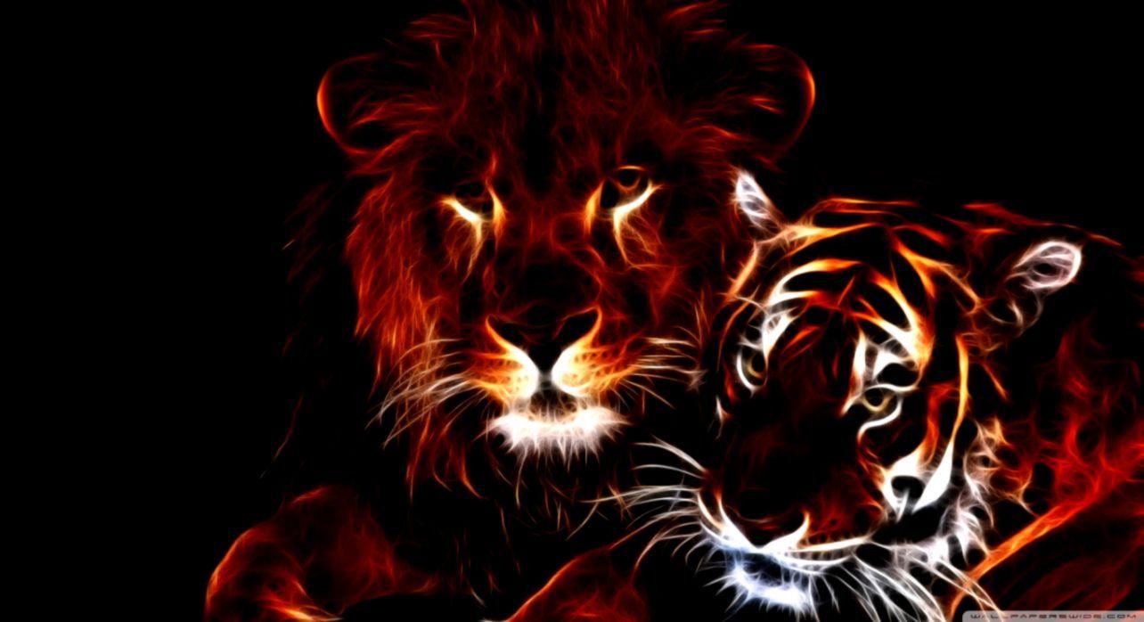 Lion and Tiger Wallpapers - Top Free Lion and Tiger Backgrounds