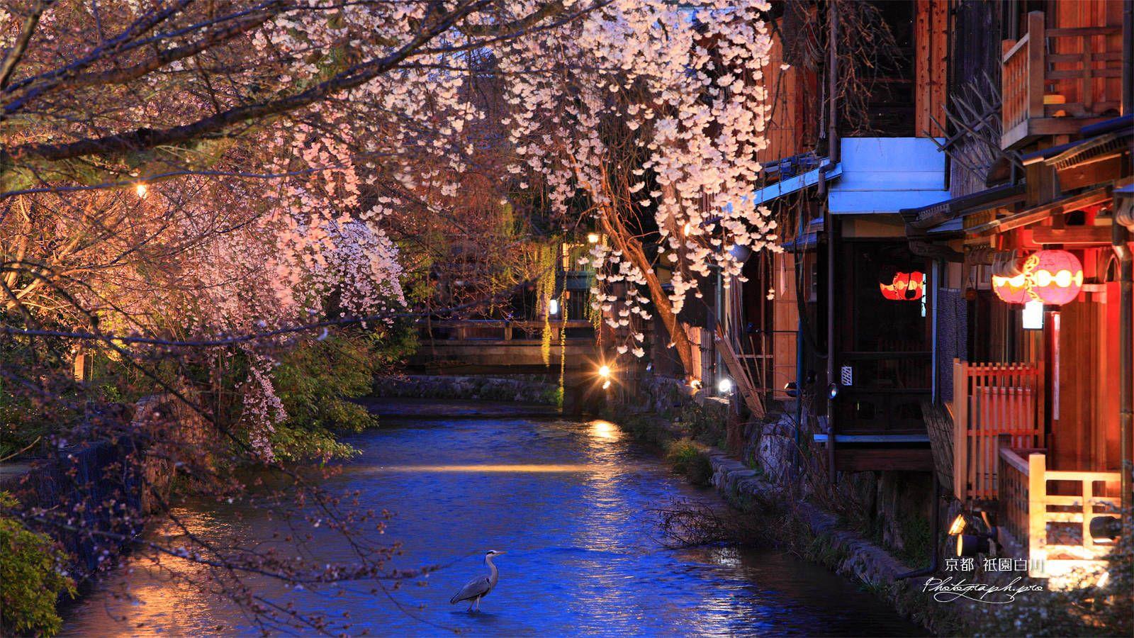 1600x900 Kyoto travel guide area by area: Gion