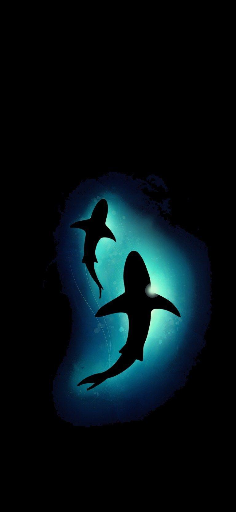 768x1664 Sharks Dark Black Amoled Android Ultra HD Wallpaper Download