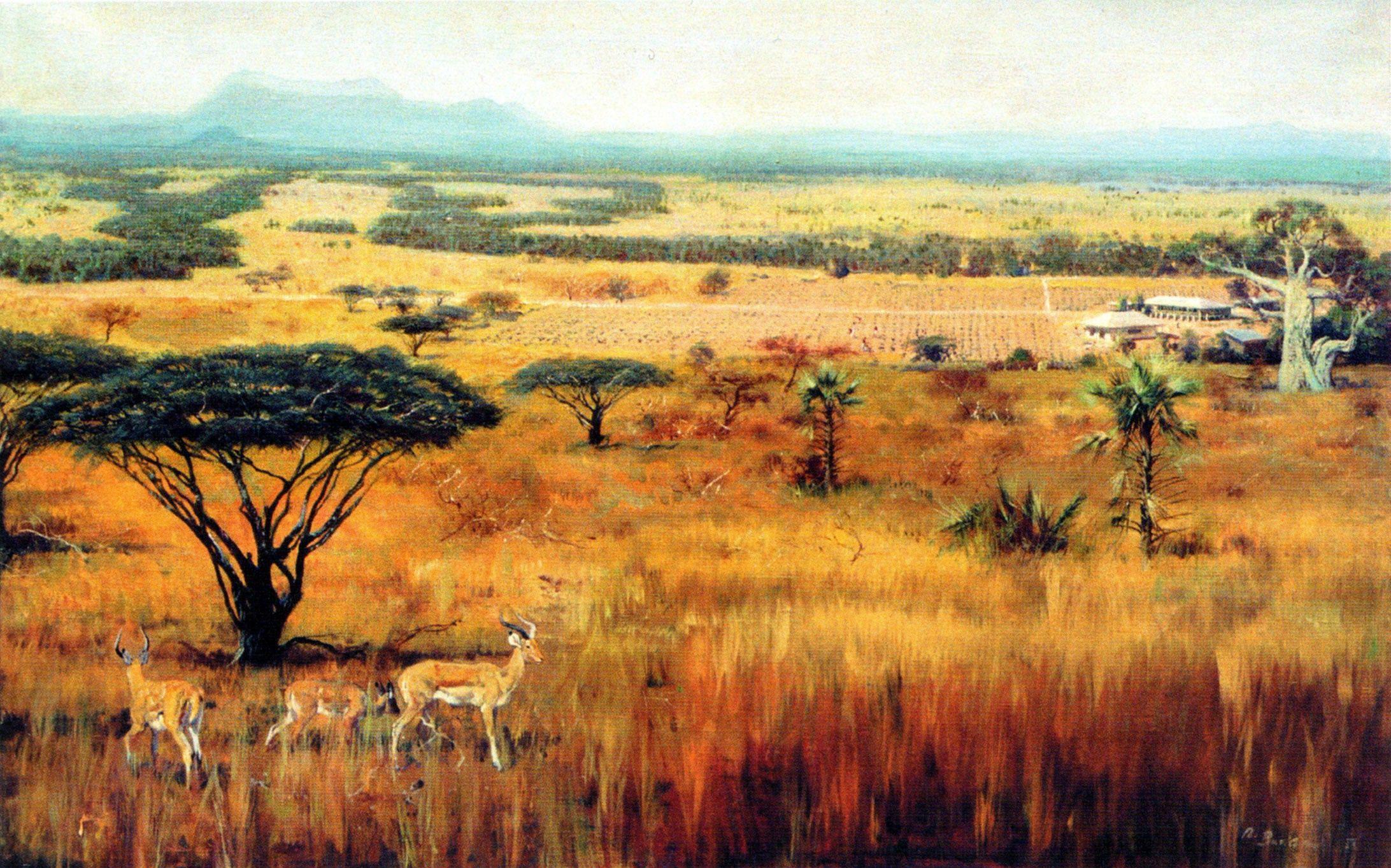 2184x1363 African Savannah Habitat Worksheet. Printable Worksheets and Activities for Teachers, Parents, Tutors and Homeschool Families