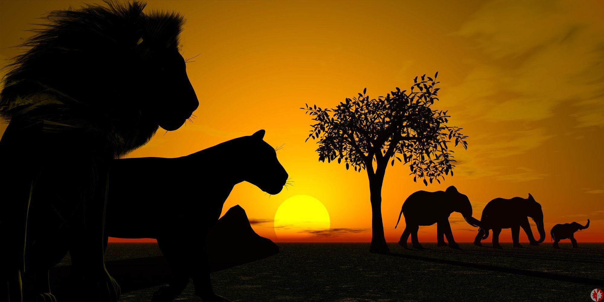 2000x1000 Sunset Wallpaper African Savanna