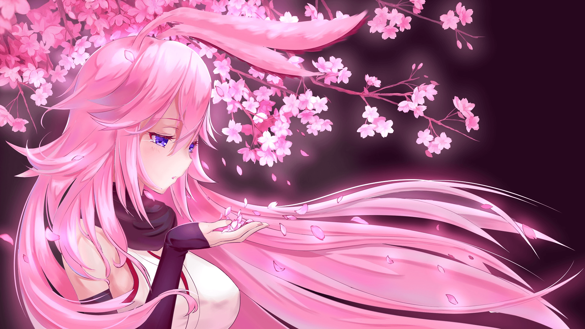 Pink And Black Anime Wallpapers Top Free Pink And Black Anime Backgrounds Wallpaperaccess 