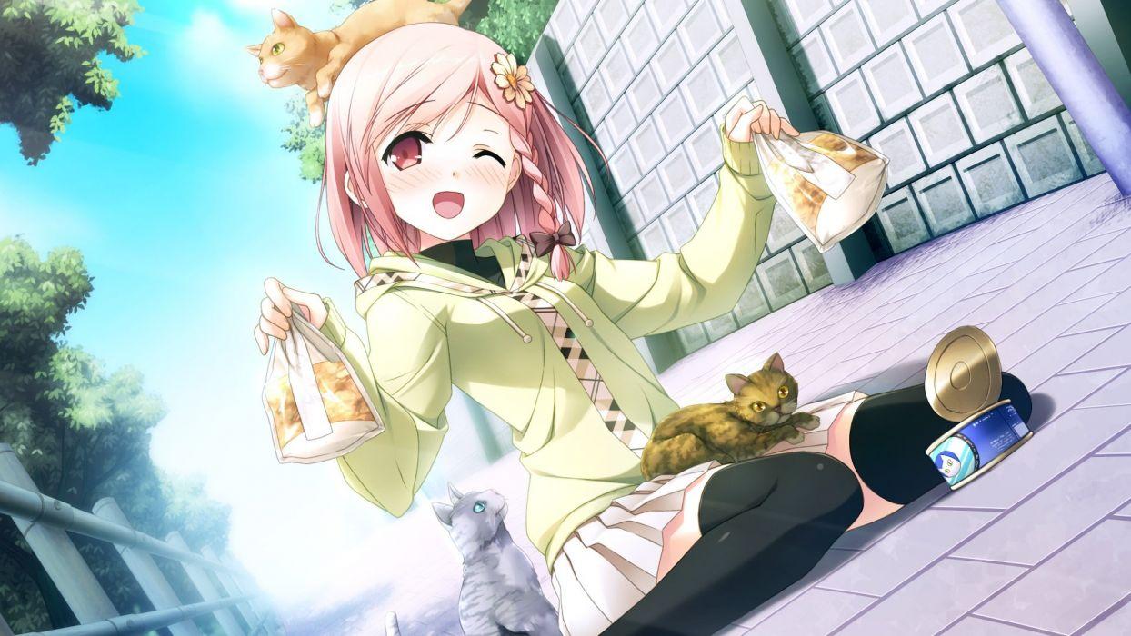 1244x700 Anime girl blonde hair orange eyes with cats wallpaperx1080
