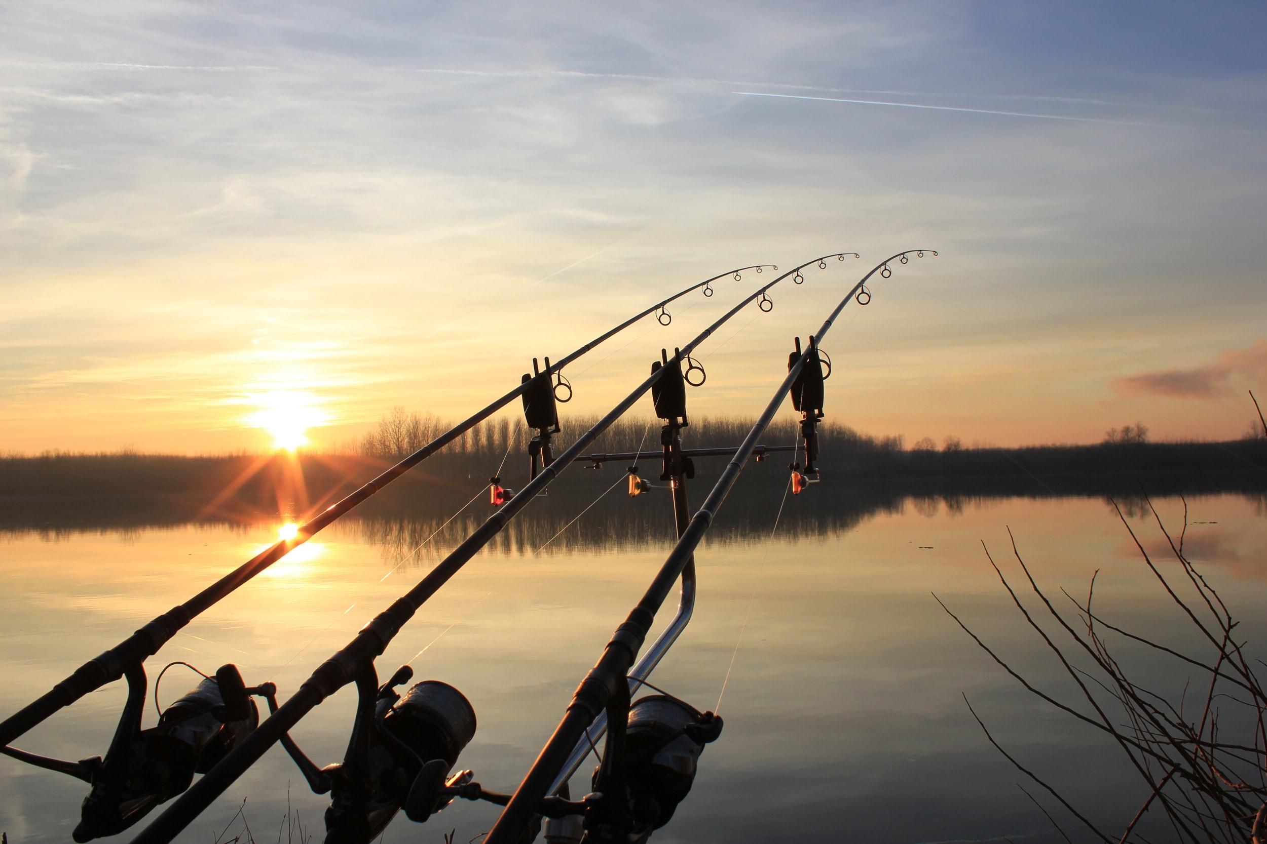 Fishing Rod Wallpapers - Top Free Fishing Rod Backgrounds - WallpaperAccess