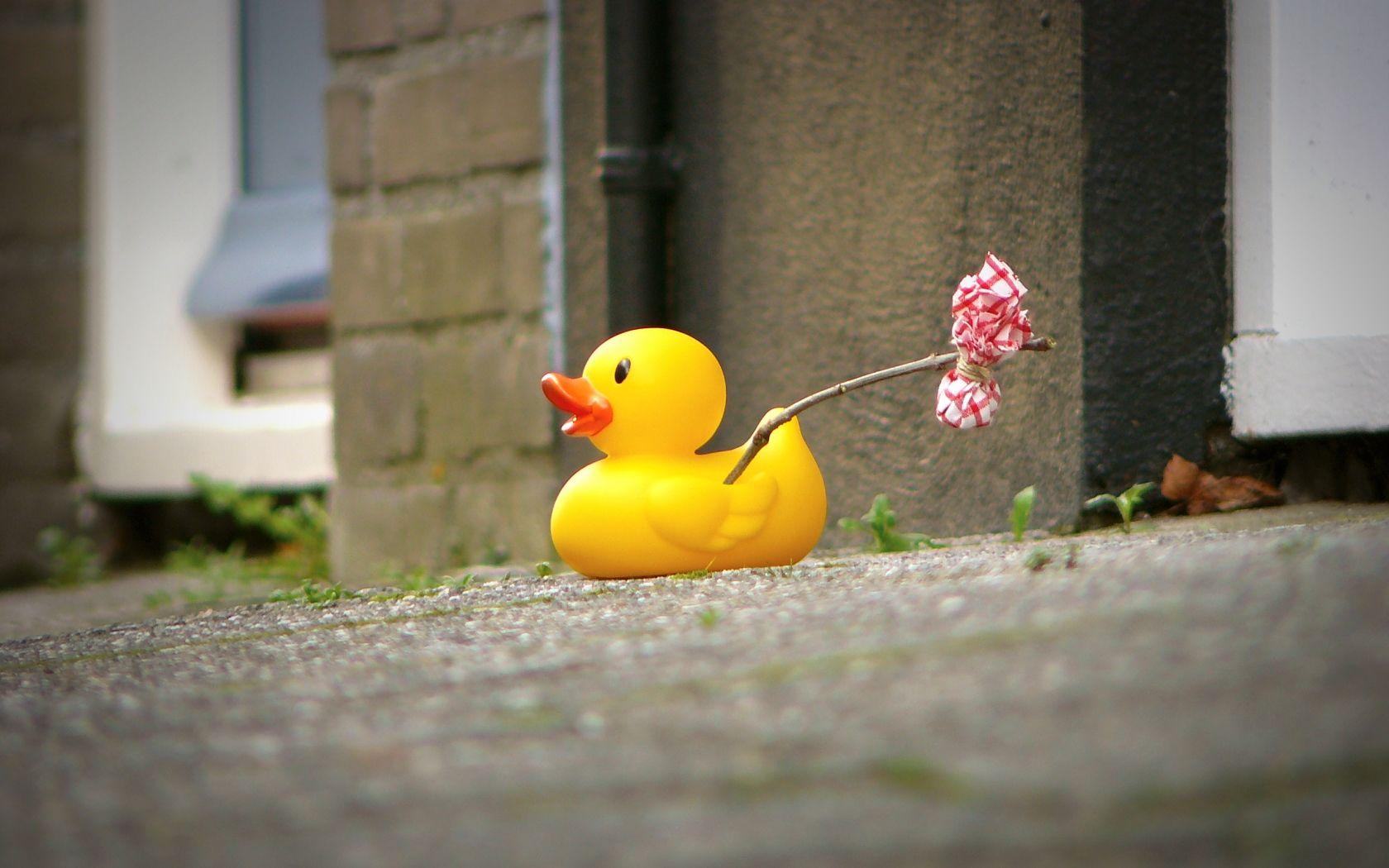 1680x1050 Funny hobo rubber ducks wallpaperx1050