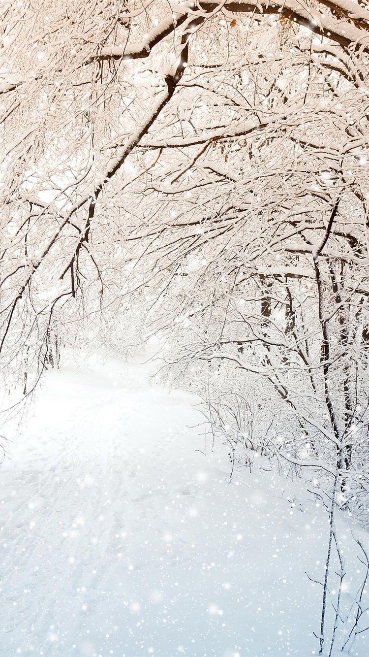 750x1334 Winter Nature, Trees, White Snow 750x1334 IPhone 8 7 6 6S Wallpaper, Background, Picture, Image