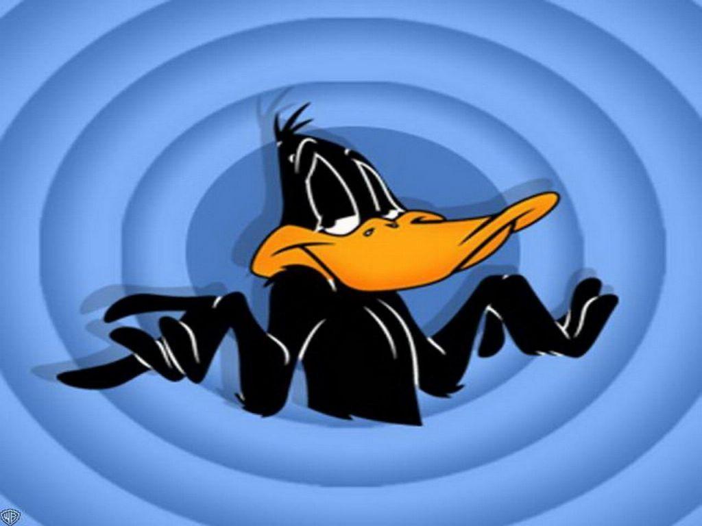 1024x768 Looney Tunes Duck Wallpaper Wallpaper 7875. Cartoon jokes, Daffy duck, Daffy duck quotes