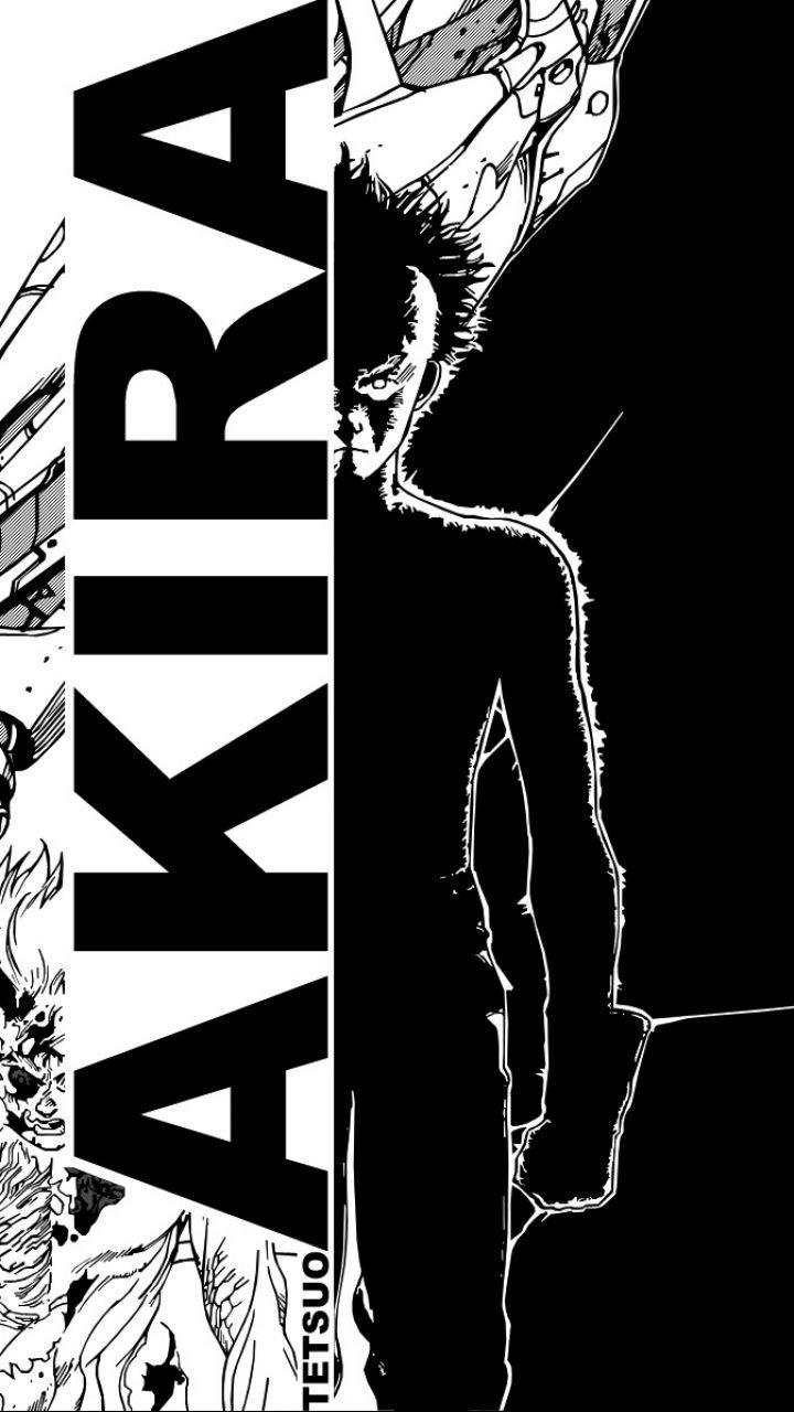 720x1280 Tetsuo phone wallpaper Coolart akira diptych prints by chris skinner akira anime. Blog.