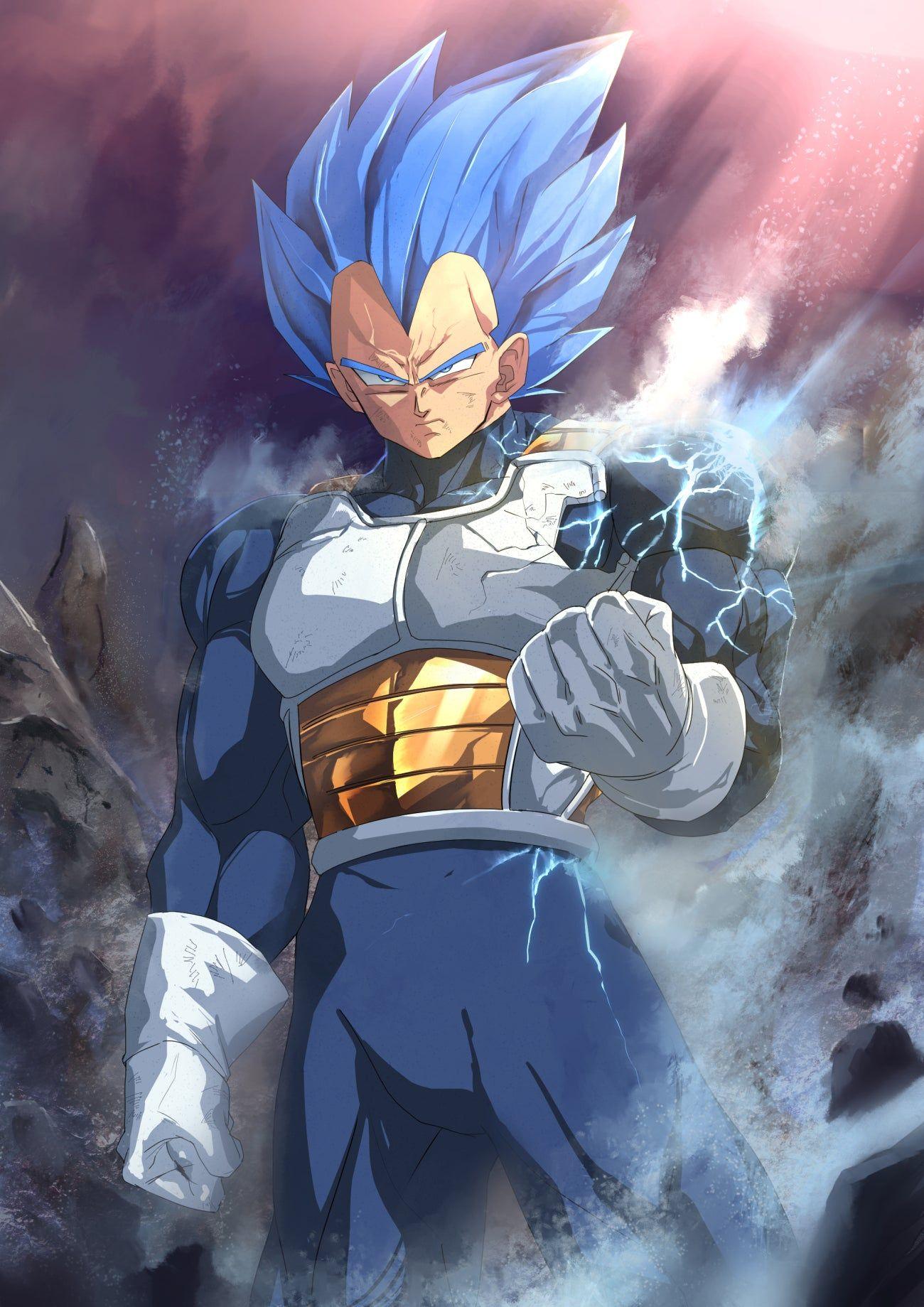 1300x1839 Super Saiyan God Super Saiyan Evolution Vegeta by グレイモン(Pixiv)