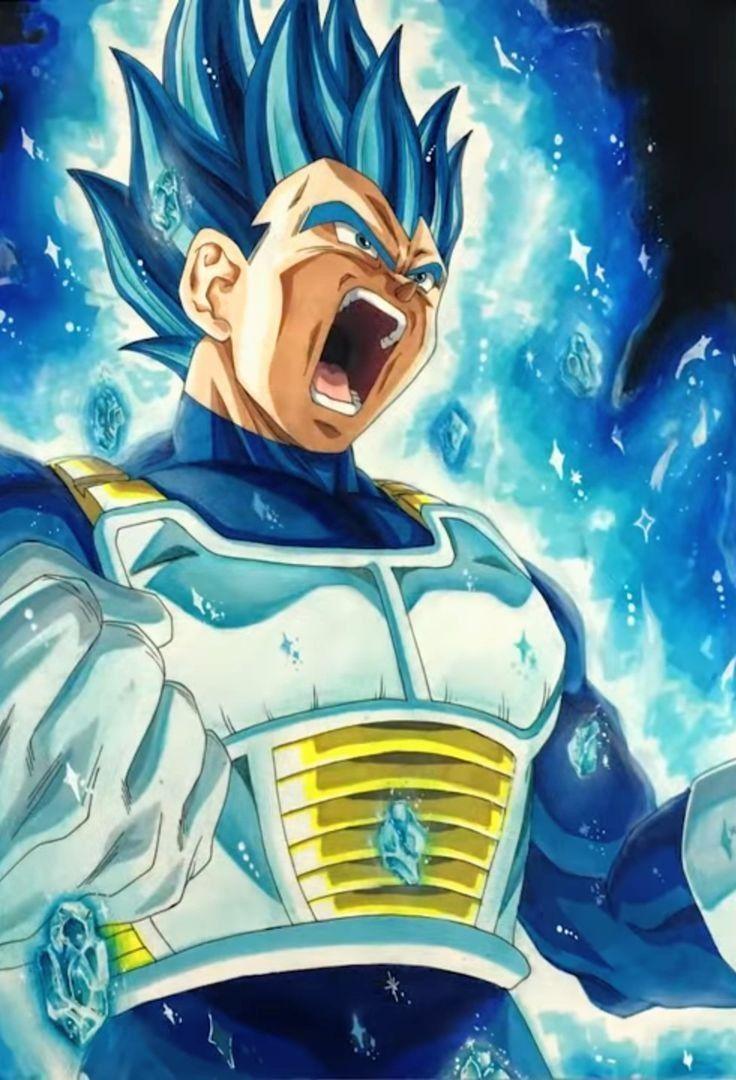 vegeta blue god