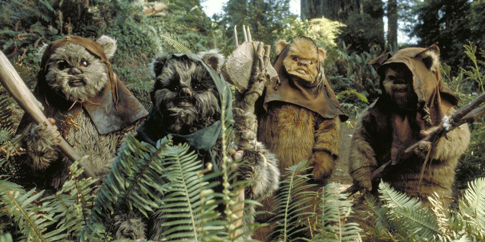 Ewok HD Wallpapers and Backgrounds