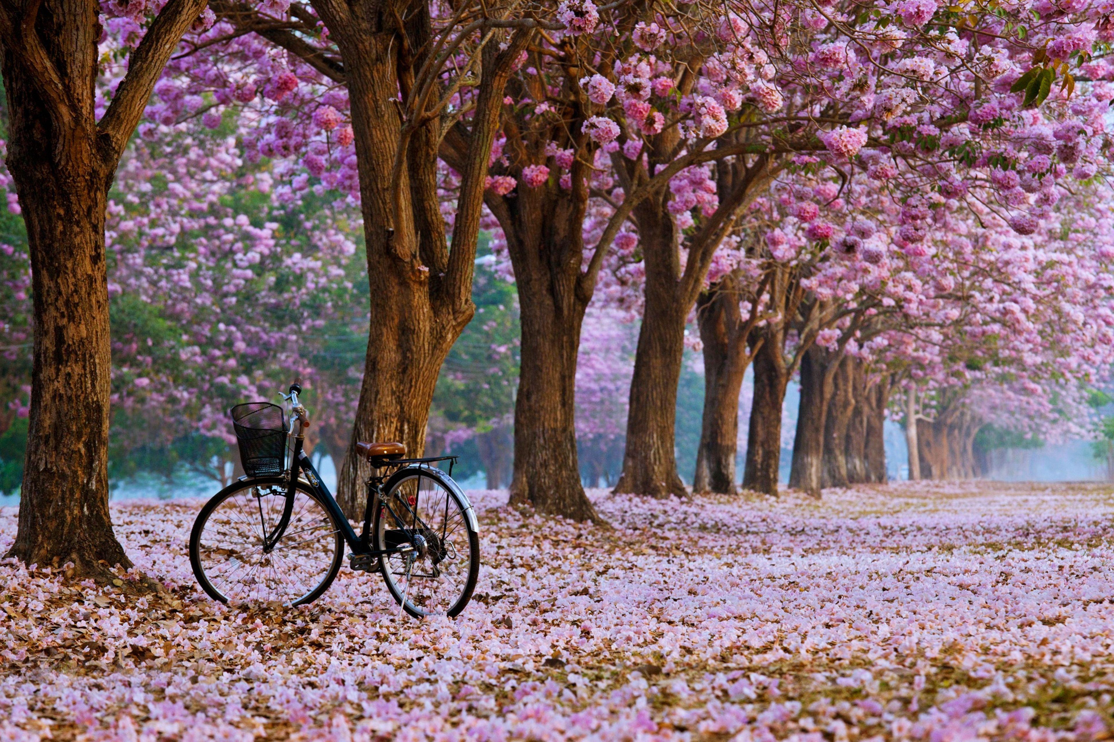 3840x2559 (JPEG Grafik, 3840 × 2559 Pixel)