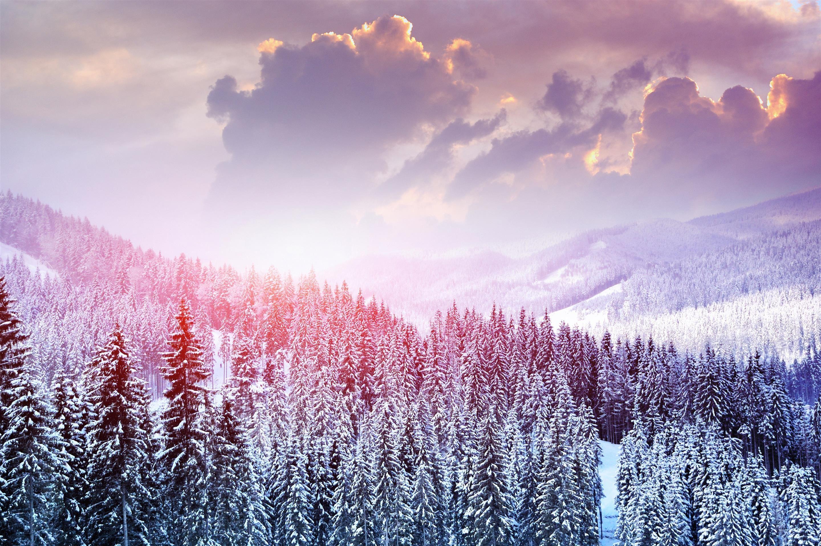 2880x1914 Pink Winter Wallpaper Laptop