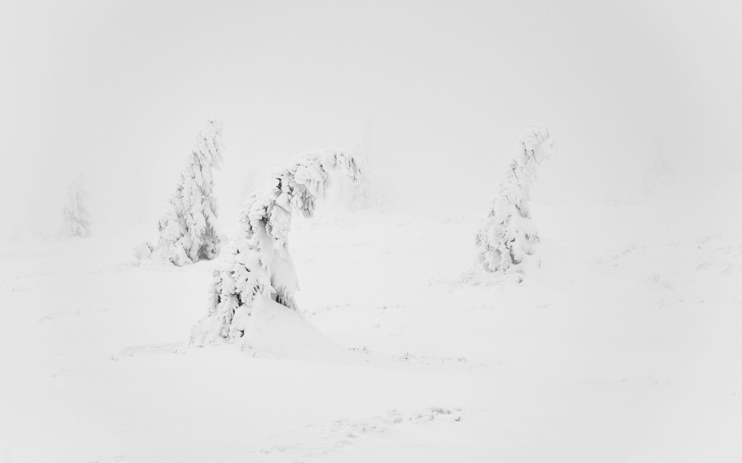 2560x1600 29++ Cute Winter Aesthetic Wallpaper Laptop