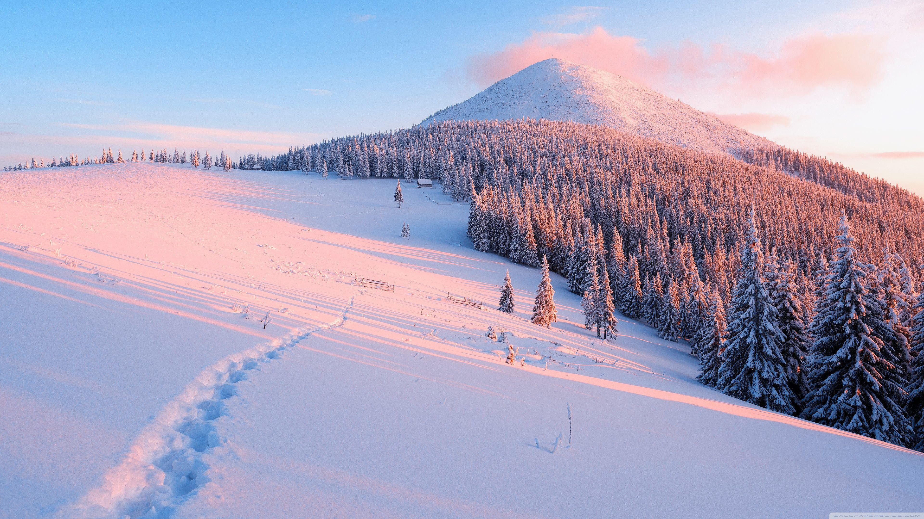 3840x2160 Winter, Nature Ultra HD Desktop Background Wallpaper for : Widescreen & UltraWide Desktop & Laptop : Multi Display, Dual Monitor : Tablet