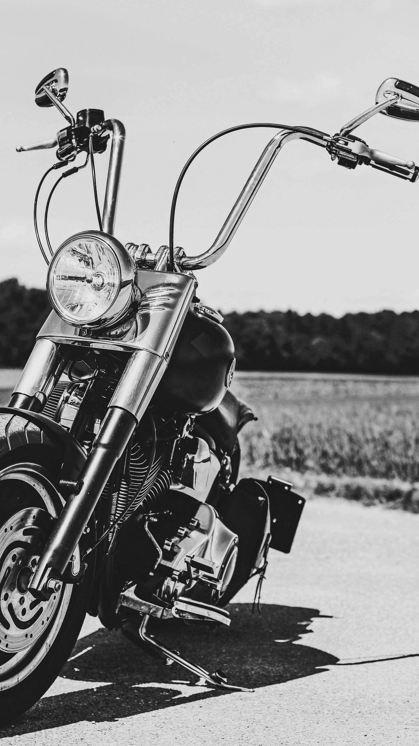 1440x2560 Harley Davidson Phone Wallpaper [1440x2560]