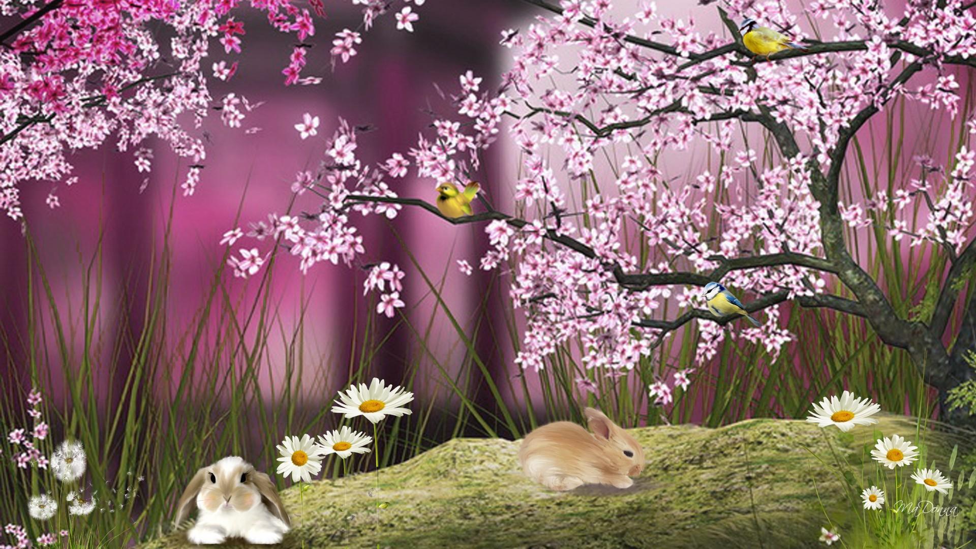 Anime Fairy Cherry Blossom Wallpapers - Top Free Anime Fairy Cherry Blossom  Backgrounds - WallpaperAccess