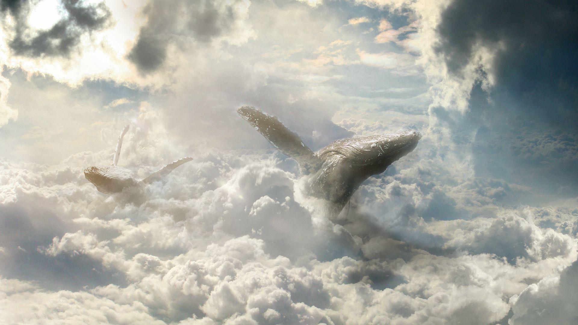 1920x1080 Wallpaper fantasy, art, atmosphere, heaven, clouds, sky, whale desktop wallpaper Other