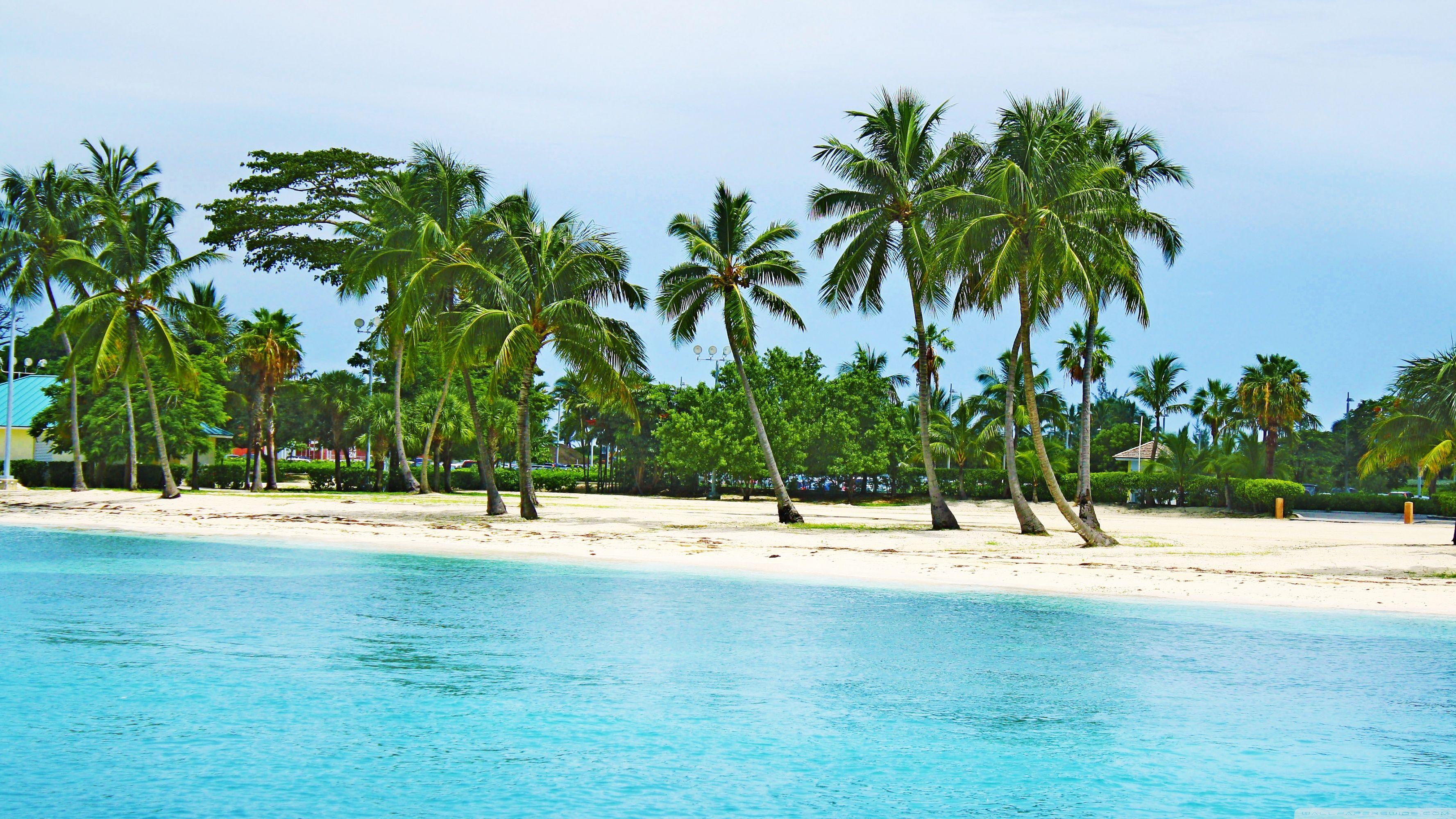 3554x1999 Bahamas Beach Ultra HD Desktop Background Wallpaper for 4K UHD TV : Multi Display, Dual Monitor : Tablet
