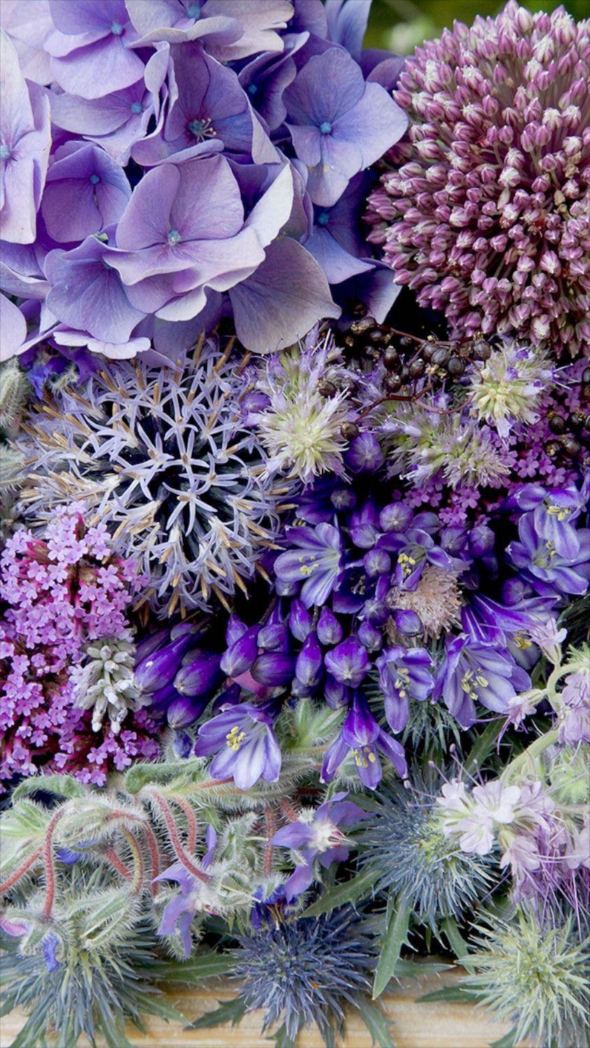 845x1500 floral phone wallpaper #flowersbackground. Flower background iphone, Flower background, Floral wallpaper