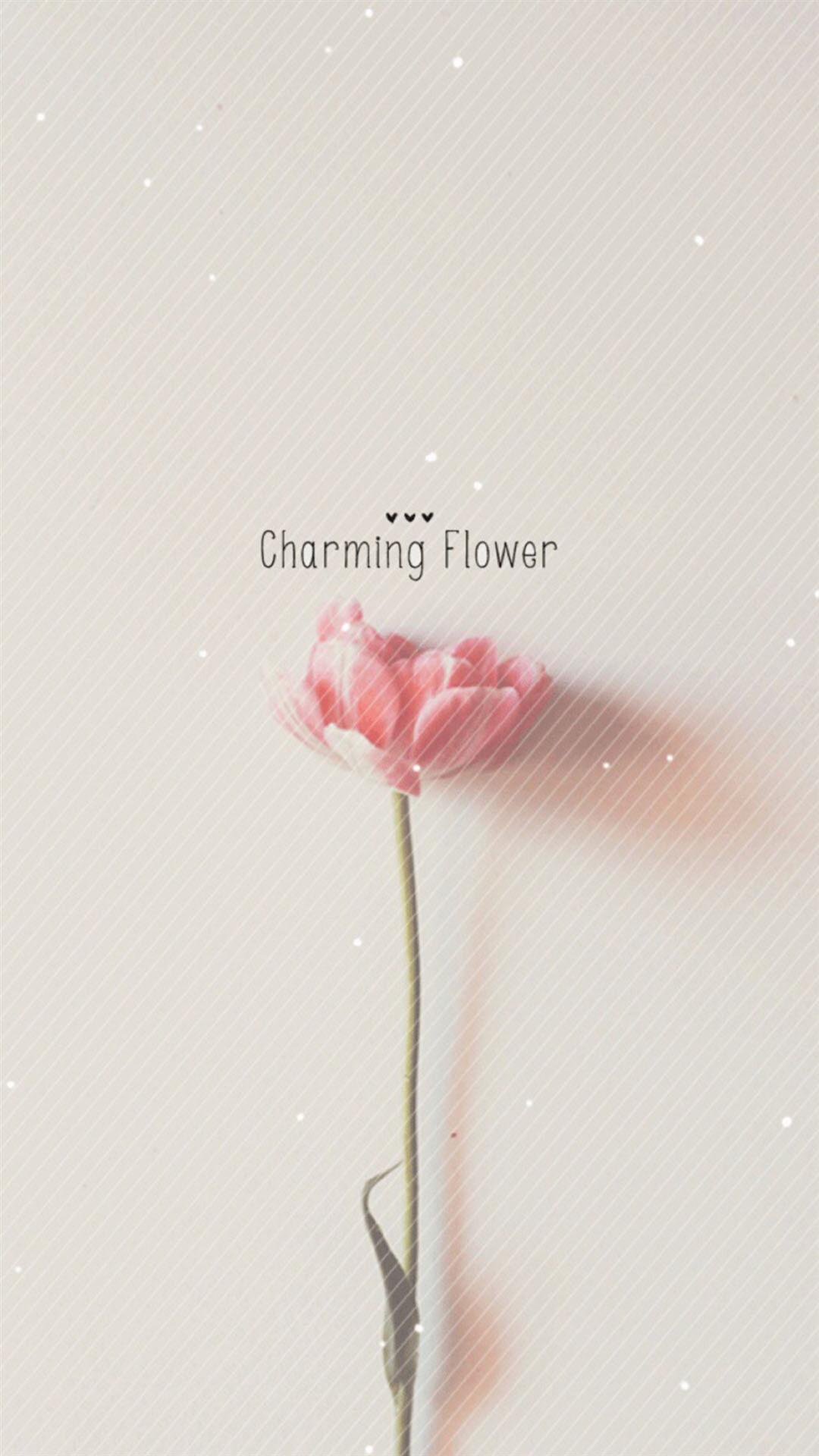 1080x1920 Simple Flower Wallpaper