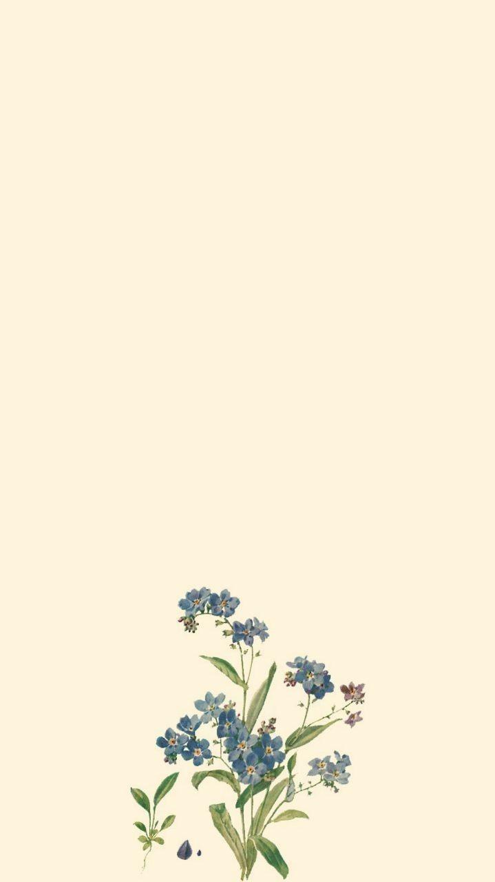 719x1280 zeynepmisinnesin. Aesthetic iphone wallpaper, Homescreen wallpaper, Tumblr background background, Homescreen wallpaper, Flower wallpaper