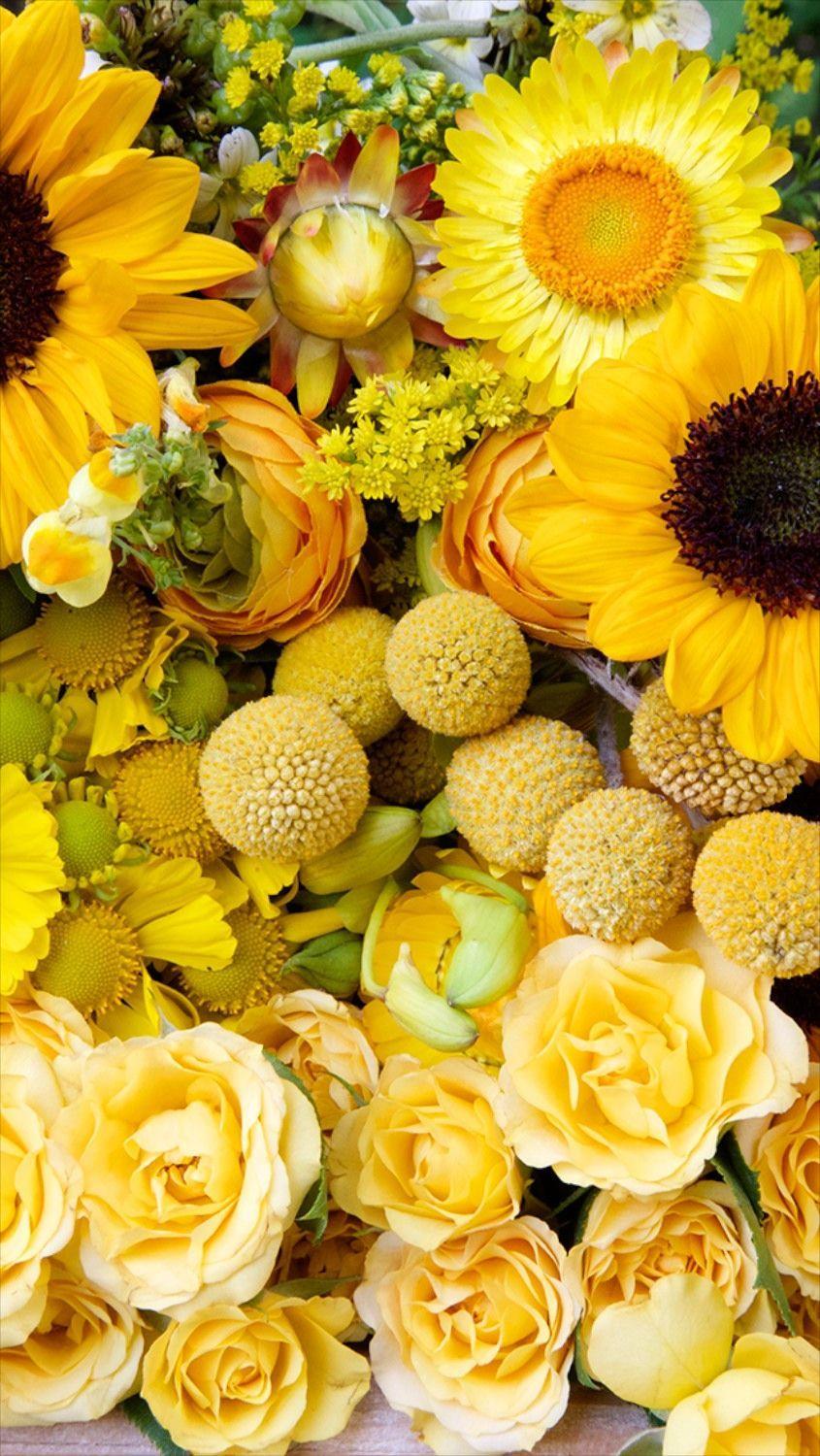 845x1500 Free Floral Phone Wallpaper • Summer Collection • Capture by Lucy. Flower wallpaper, Flower phone wallpaper, Bright wallpaper