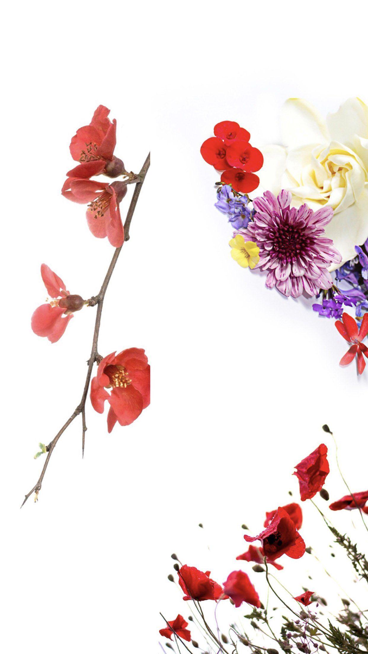 Simple Floral Phone Wallpapers Top Free Simple Floral Phone Backgrounds WallpaperAccess