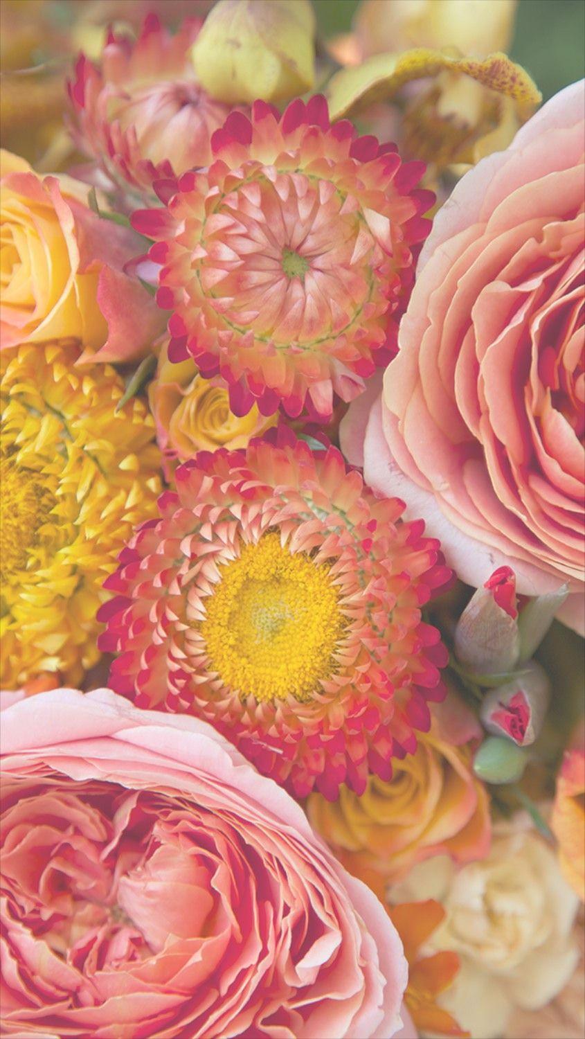 845x1500 Free Floral Phone Wallpaper • Summer Collection • Capture