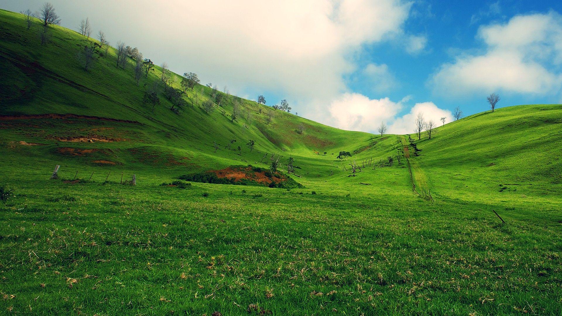 Lush Grassy Hills Wallpaper » Arthatravel.com