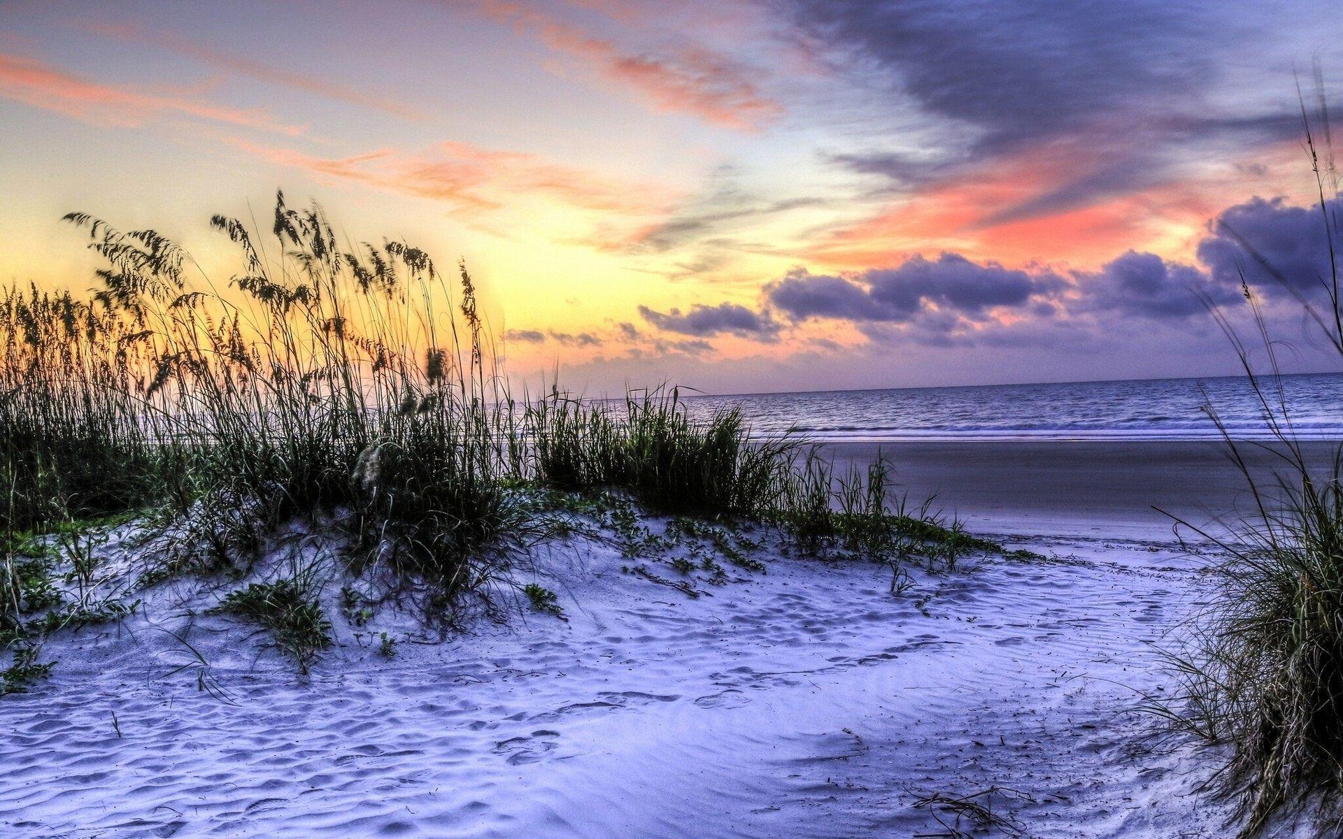 1920x1200 Wallpaper Hilton Head Island, South Carolina, USA, beach, grass, sea, sunset 1920x1200 HD Picture, Image