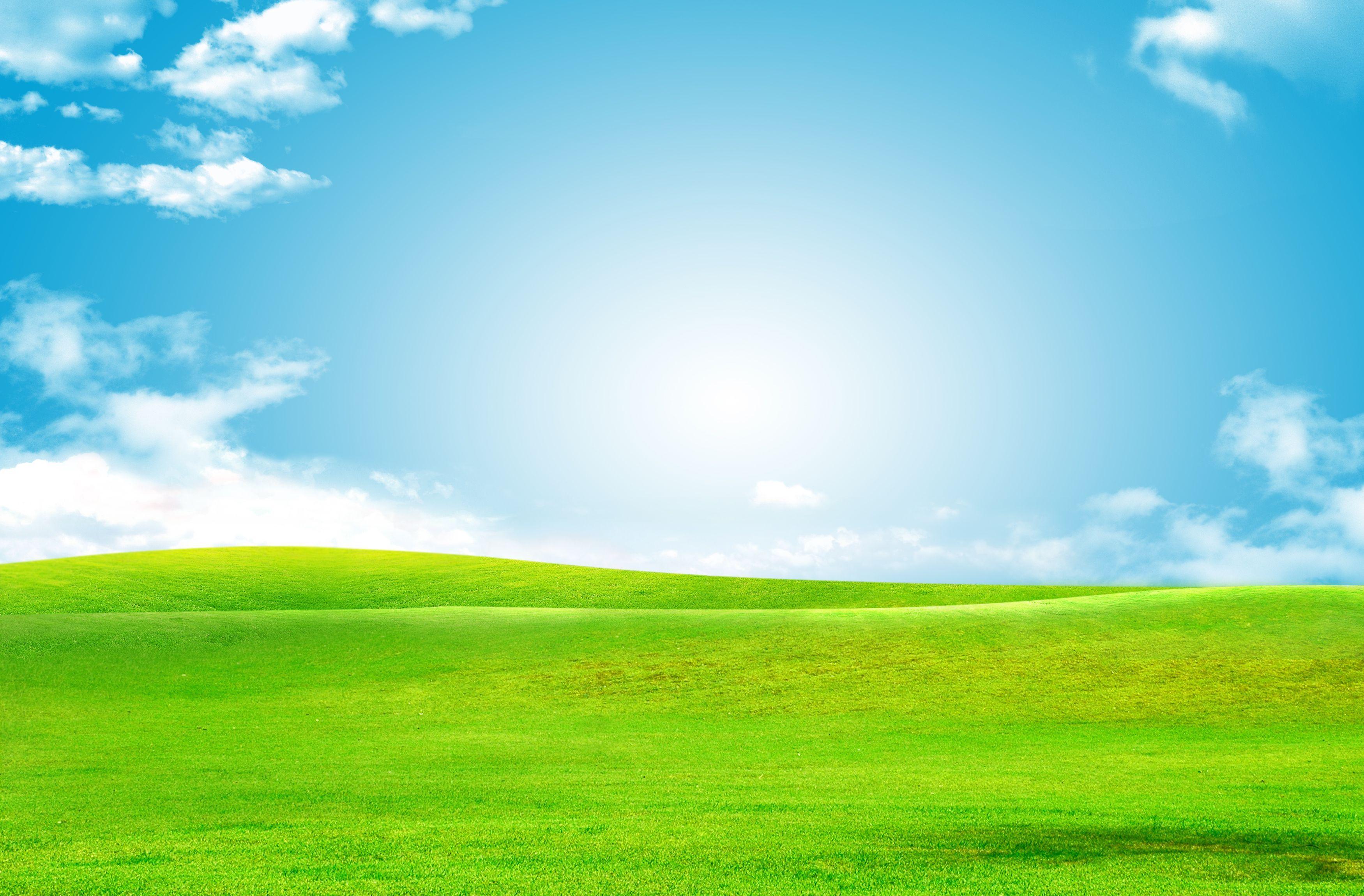 3500x2300 Sky Green Grass Background. Photohop background backdrops, Grass background, Green grass background