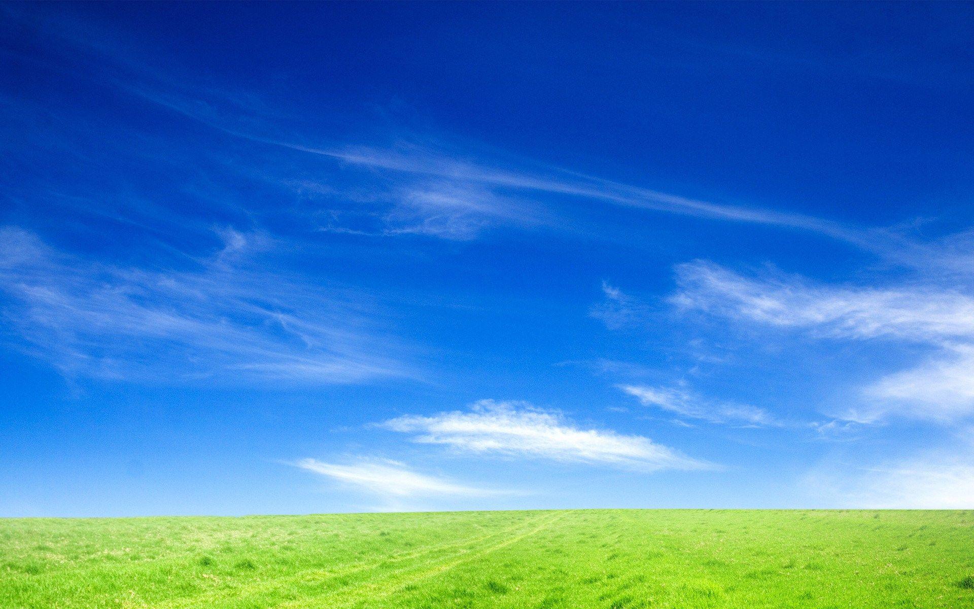 1920x1200 Blue Sky And Green Grass Wallpaper And Ground Background HD Wallpaper