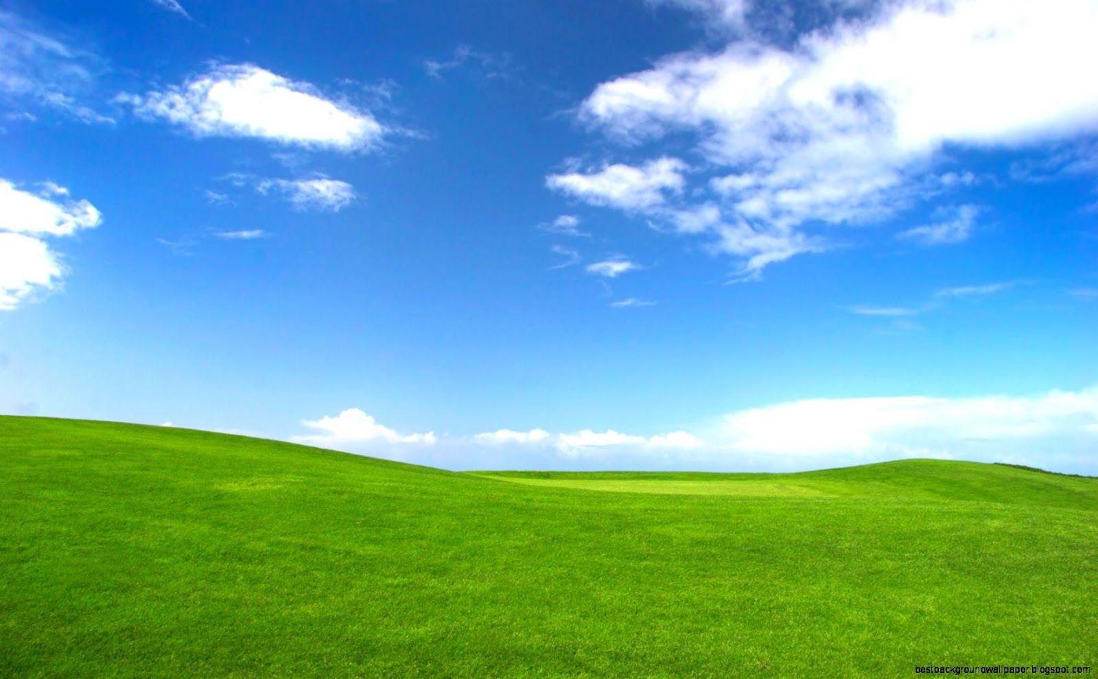1600x989 Microsoft Window Sky Grass Background Xp HD Wallpaper