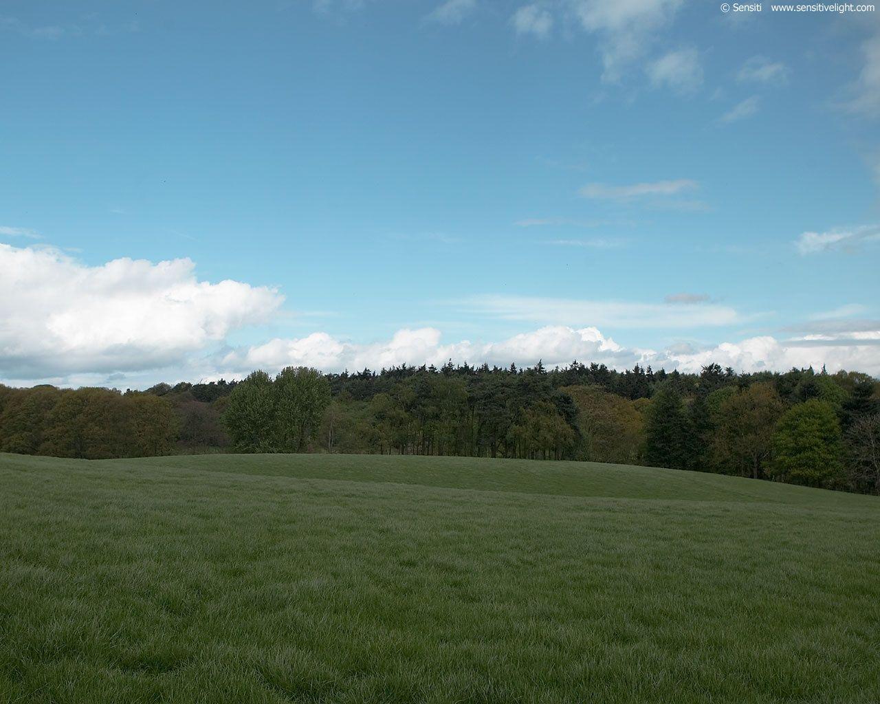 1280x1024 Grass and sky wallpaper. Grass and sky