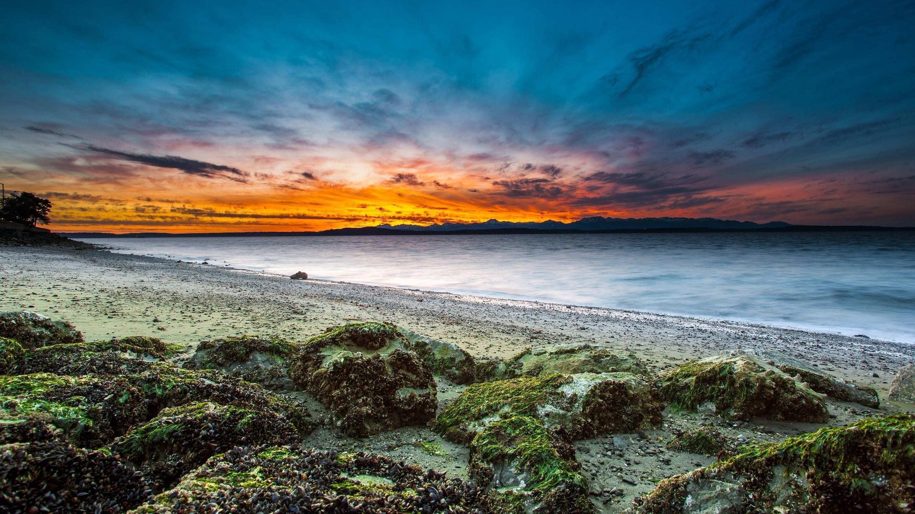 3840x2160 beach, grass, moss 4K Wallpaper, HD Nature 4K Wallpaper, Image, Photo and Background