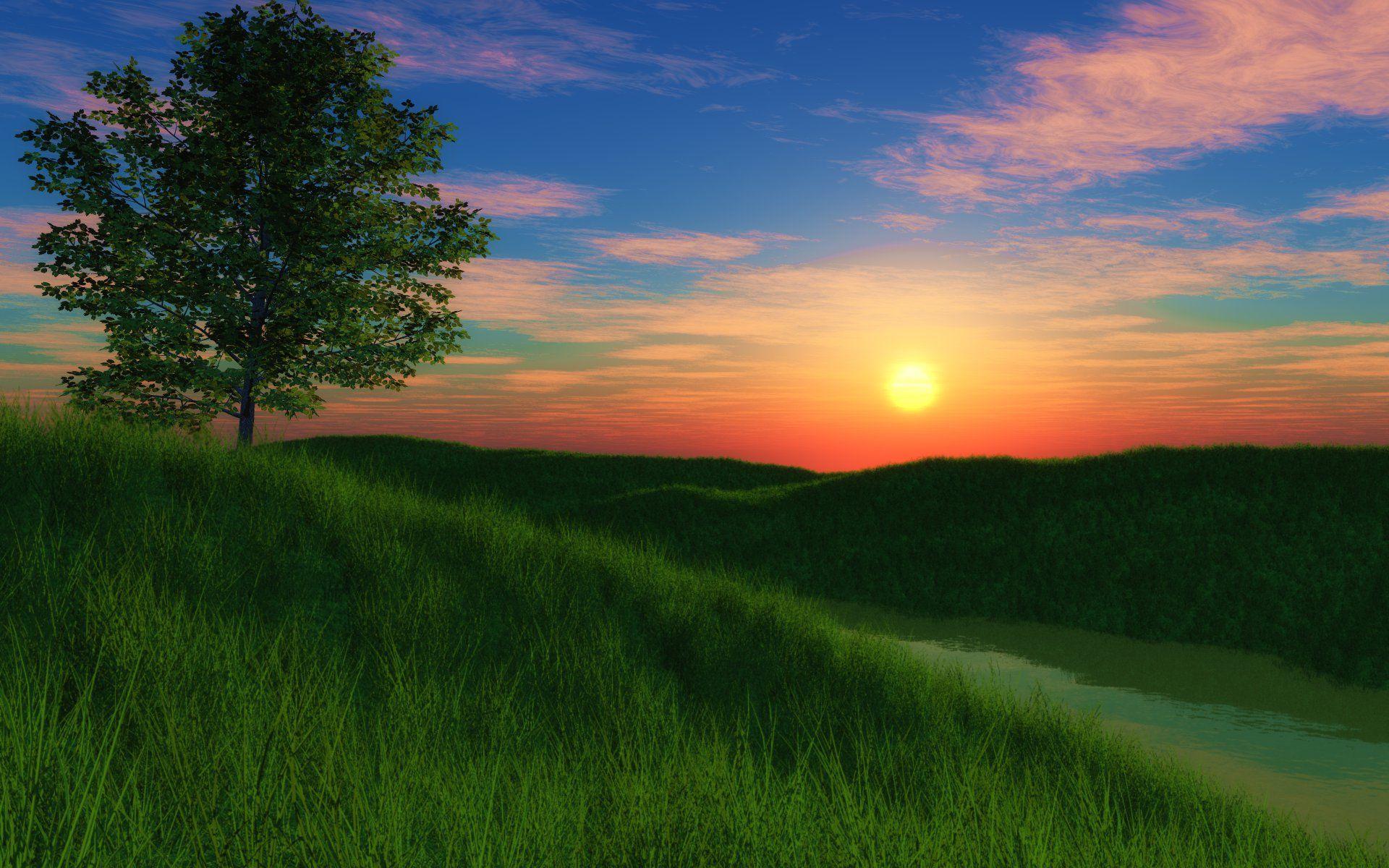 1920x1200 grassy, Hill, Sunset Wallpaper HD / Desktop and Mobile Background
