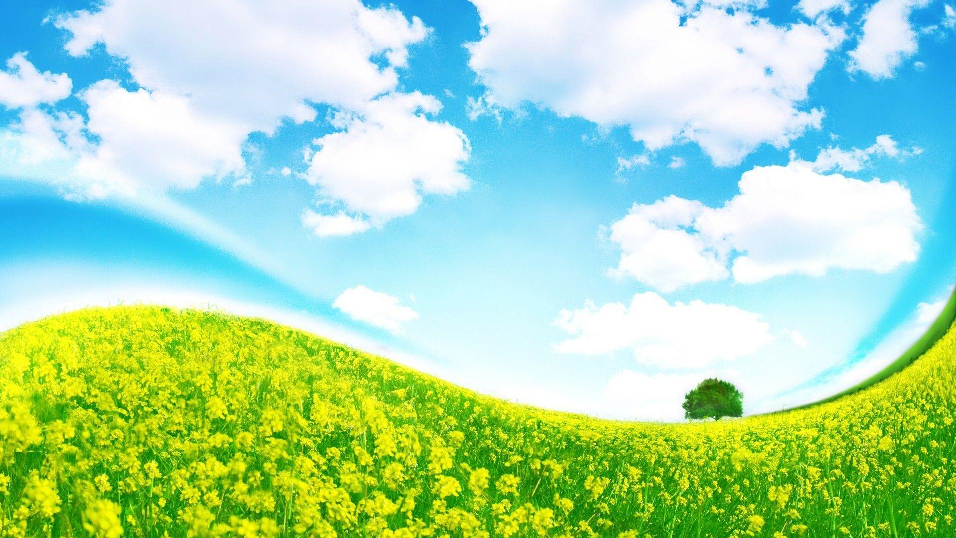 1920x1080 Sky Grass Background Wallpaper 08507