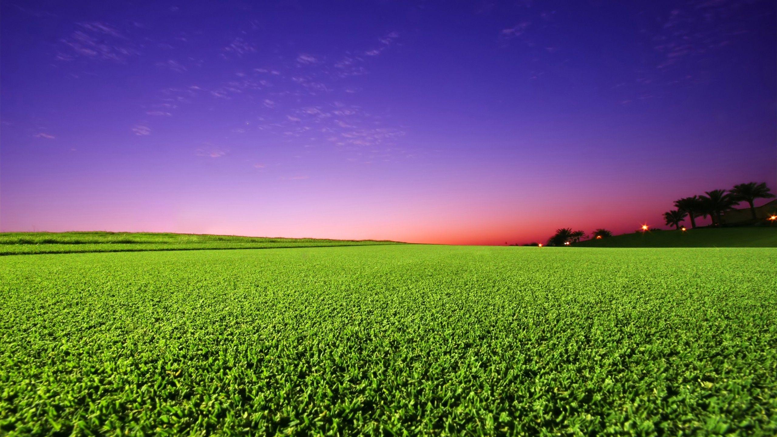 2560x1440 Grass Wallpaper Wallpaper Superior Grass Wallpaper Background