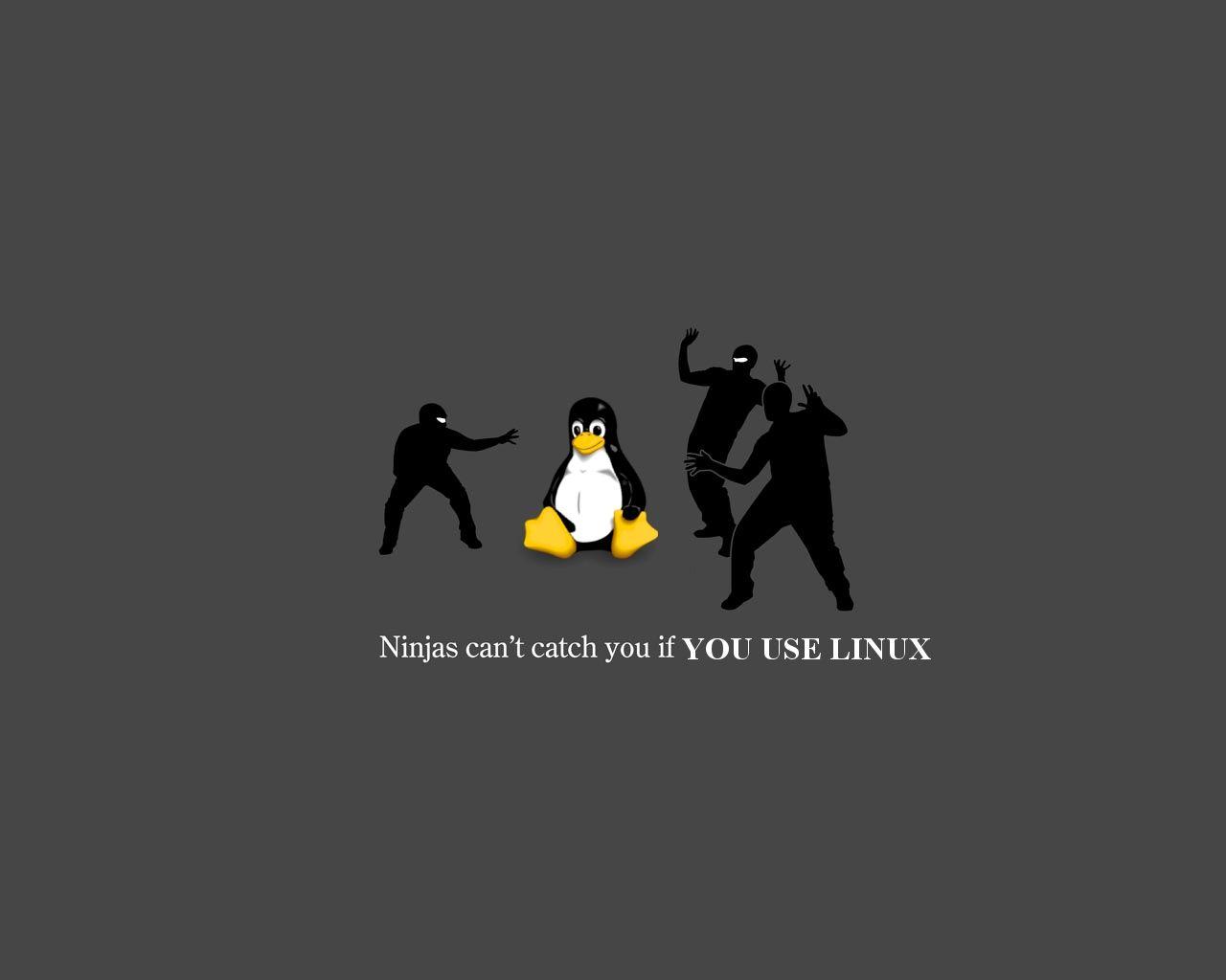 Funny Linux Wallpapers - Top Free Funny Linux Backgrounds - WallpaperAccess