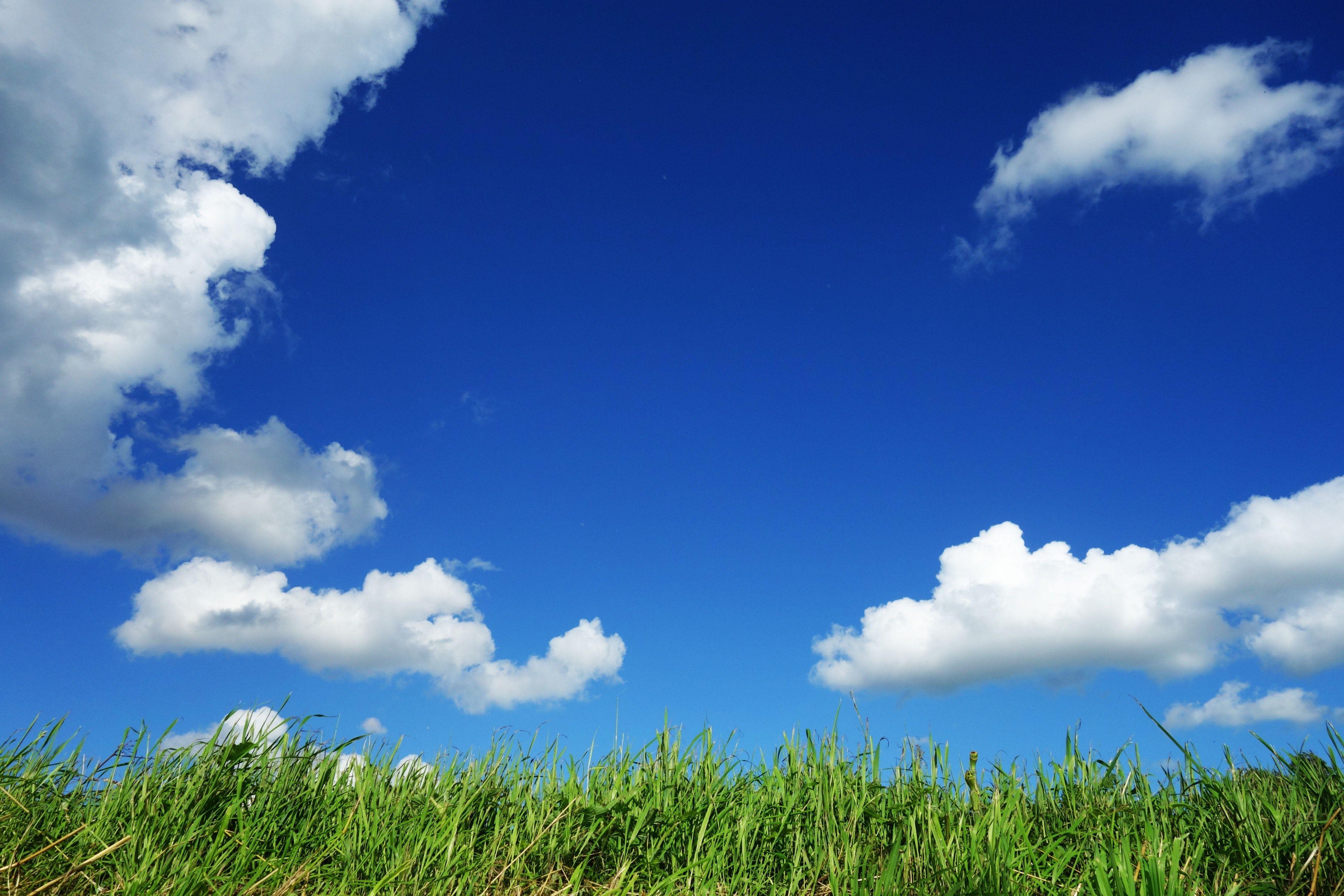 Sky And Grass Wallpapers Top Free Sky And Grass Backgrounds Wallpaperaccess