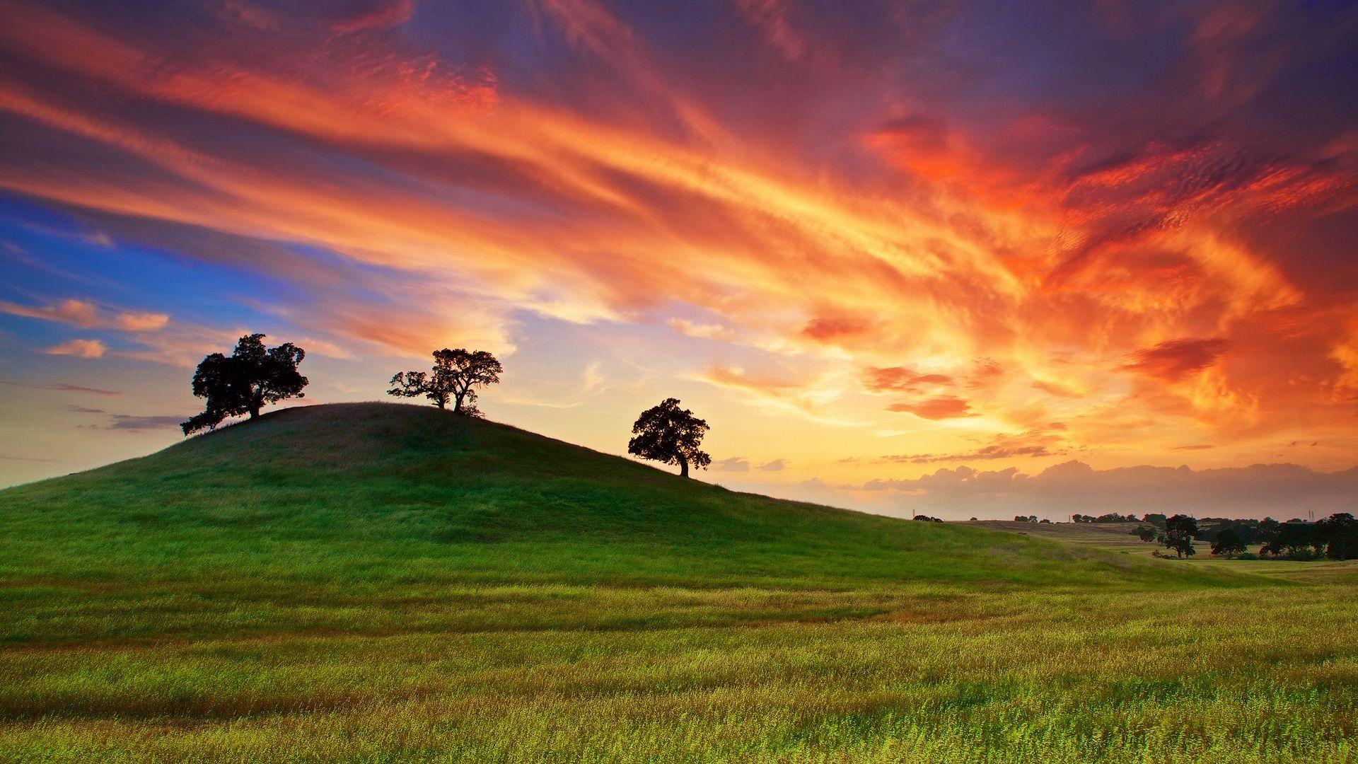 1920x1080 High Definition Wallpaper wallpaper: USA California spring sunset grass hill trees red sky