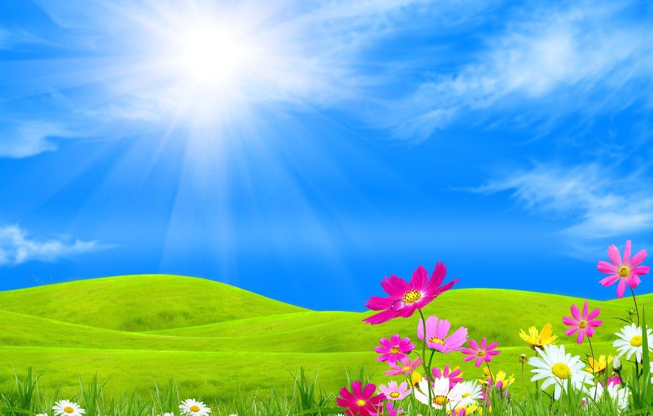 1332x850 Wallpaper the sky, grass, the sun, clouds, rays, flowers, hills, collage, kosmeya image for desktop, section природа