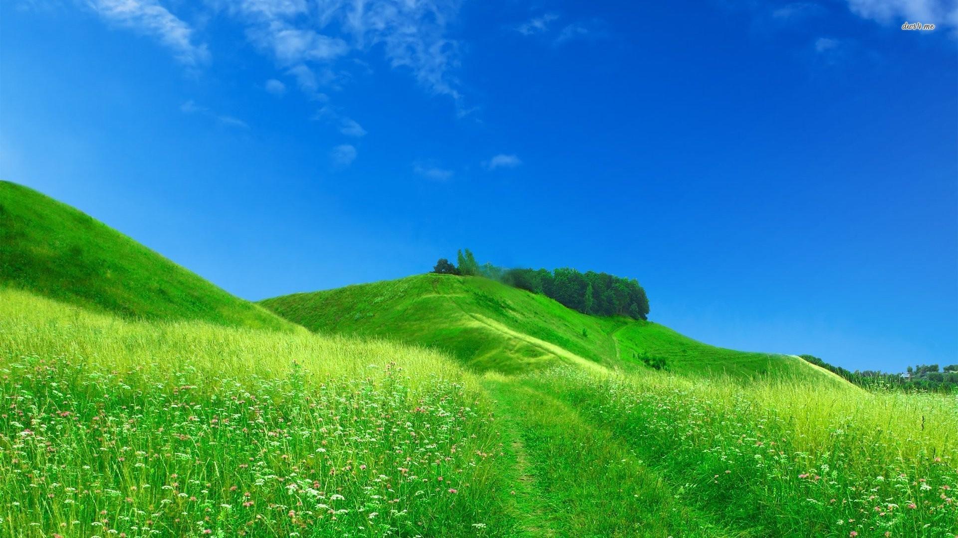 1920x1080 Hill Wallpaper