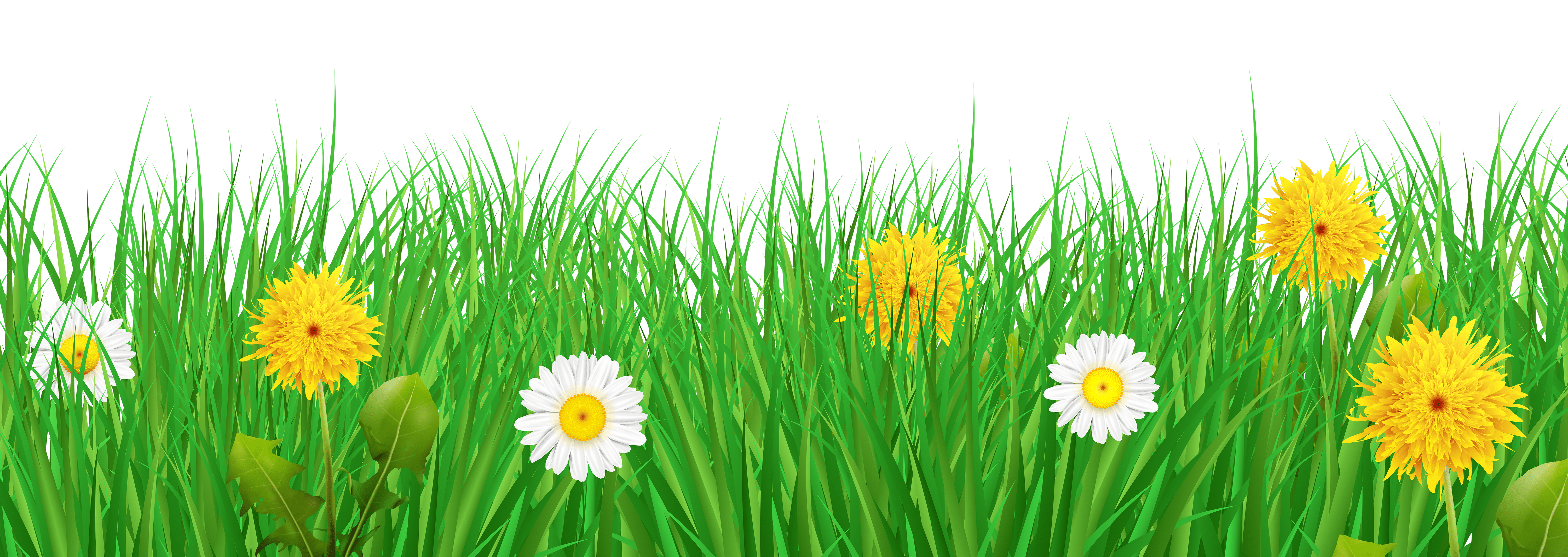 6000x2133 Grass And Flowers Transparent PNG Clip Art Image Quality Image And Transparent PNG Free Clipart