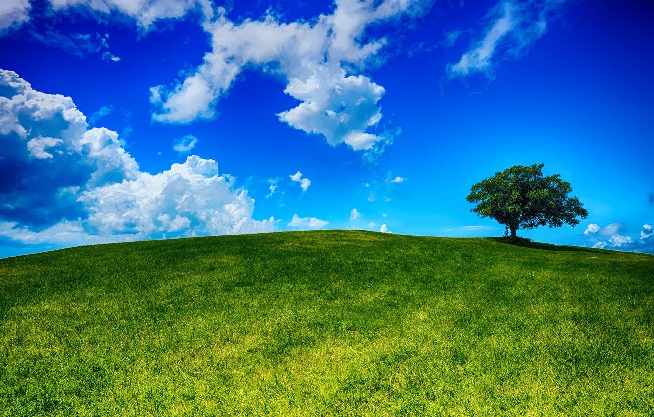 1332x850 Photo Wallpaper Field, The Sky, Grass, Clouds, Landscape, Sky And Hill