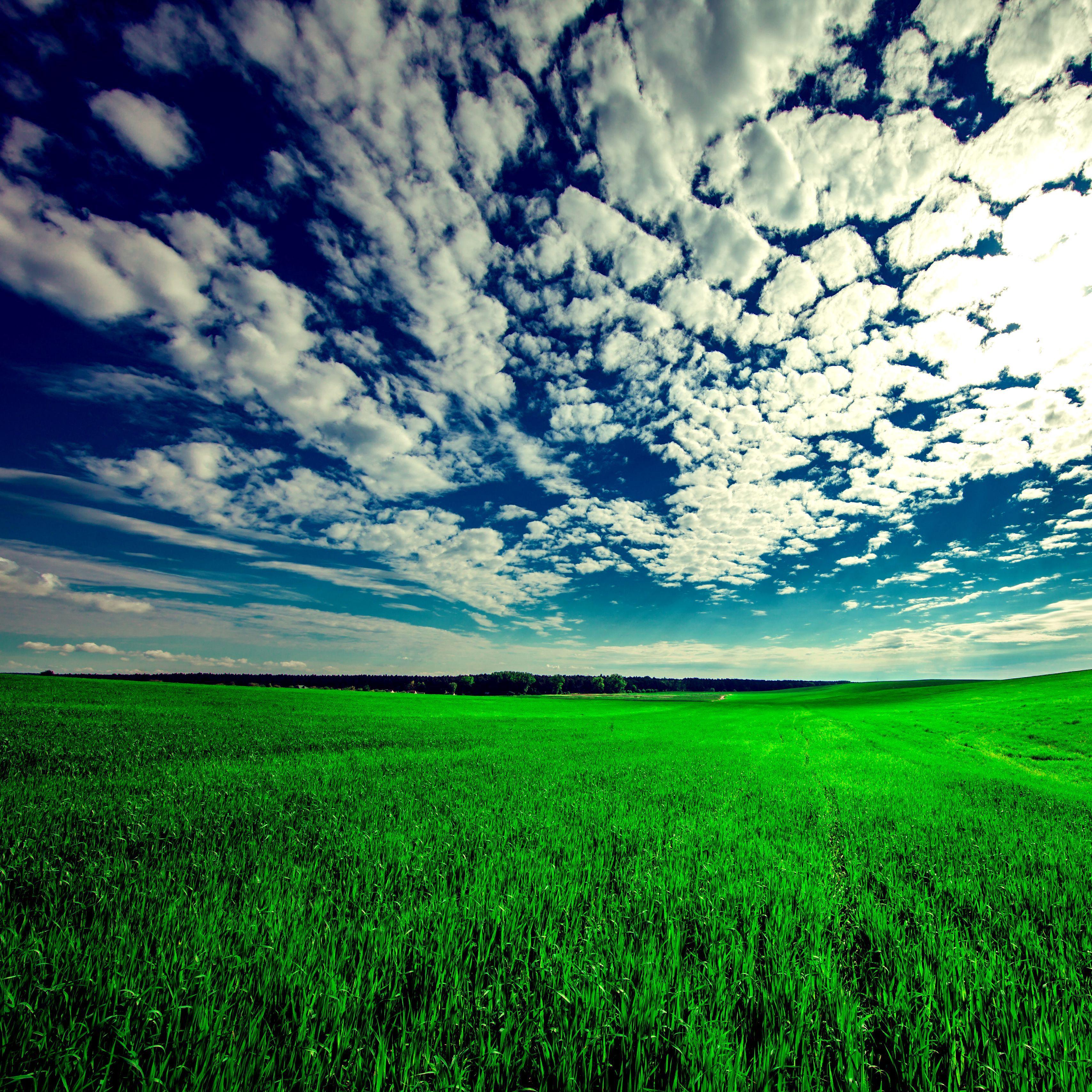 3415x3415 Download wallpaper 3415x3415 field, sky, grass, clouds, green, summer ipad pro 12.9 retina for parallax HD background