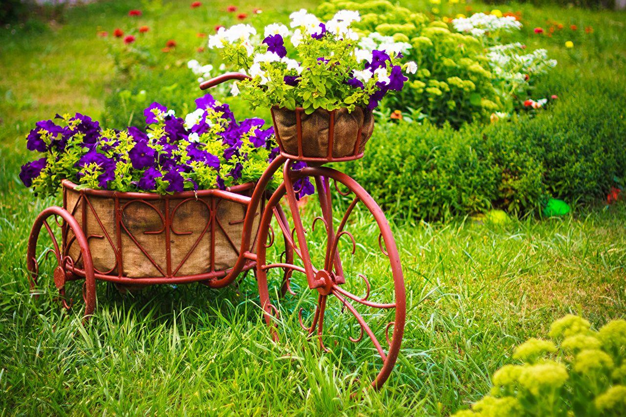 1280x853 Desktop Wallpaper bike flower Petunia Wicker basket Grass from wood