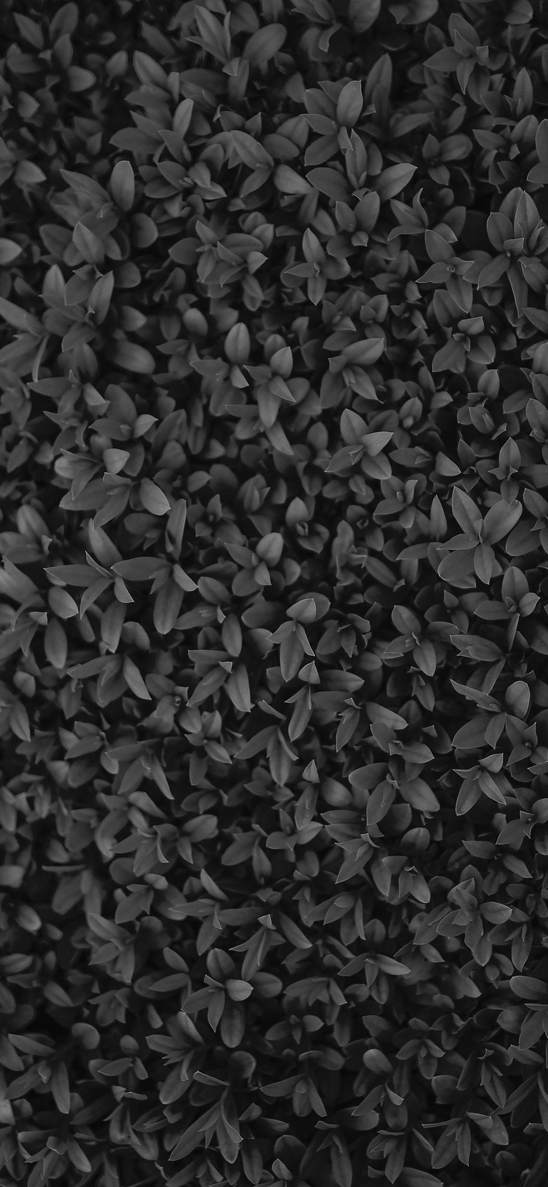 Black Grass Wallpapers - Top Free Black Grass Backgrounds - WallpaperAccess